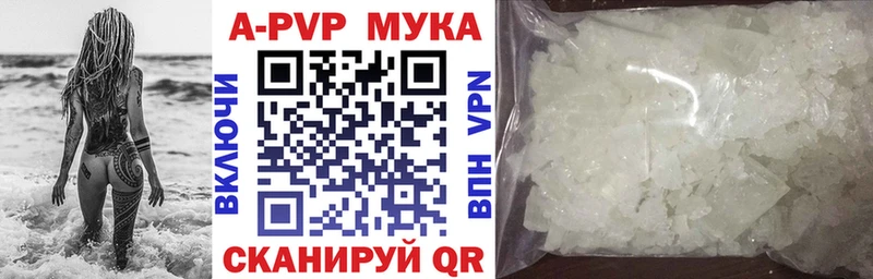 закладки  Алексеевка  А ПВП СК 