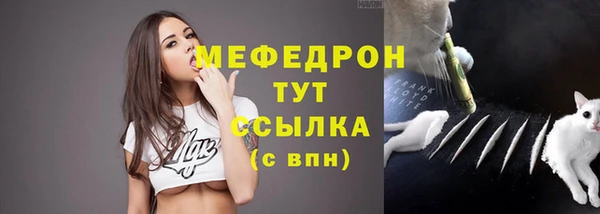 винт Абаза